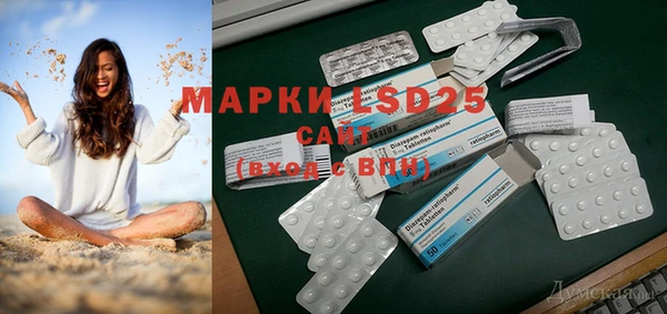гашик Грязовец