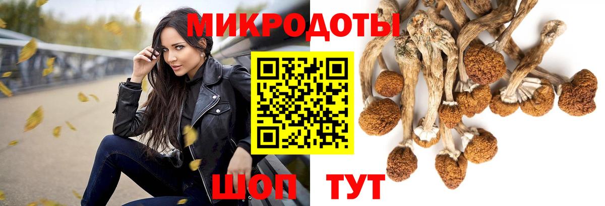 Псилоцибиновые грибы прущие грибы Кимры